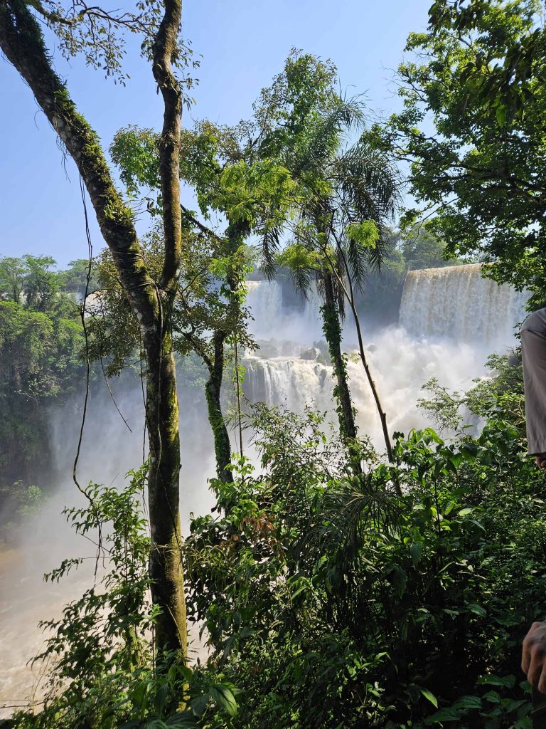 The falls at Iguazu Falls with trees