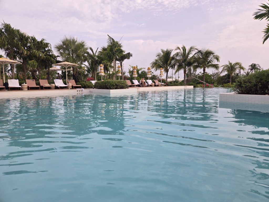 A close up of the pool surrounding by chairs and palm trees