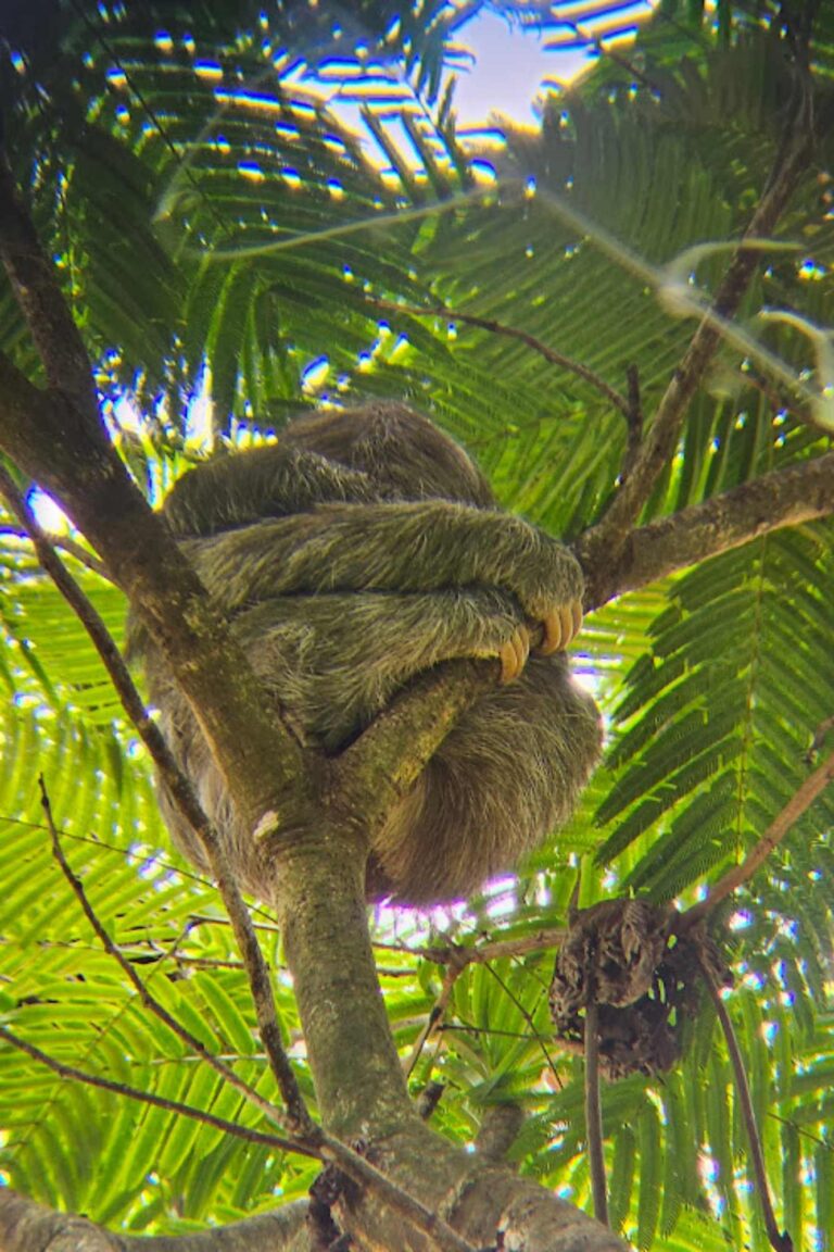 Costa Rica Itinerary: 3 Can’t Miss Stops
